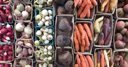 Down to Earth Farmers Market