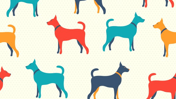 January Is Walk Your Dog Month