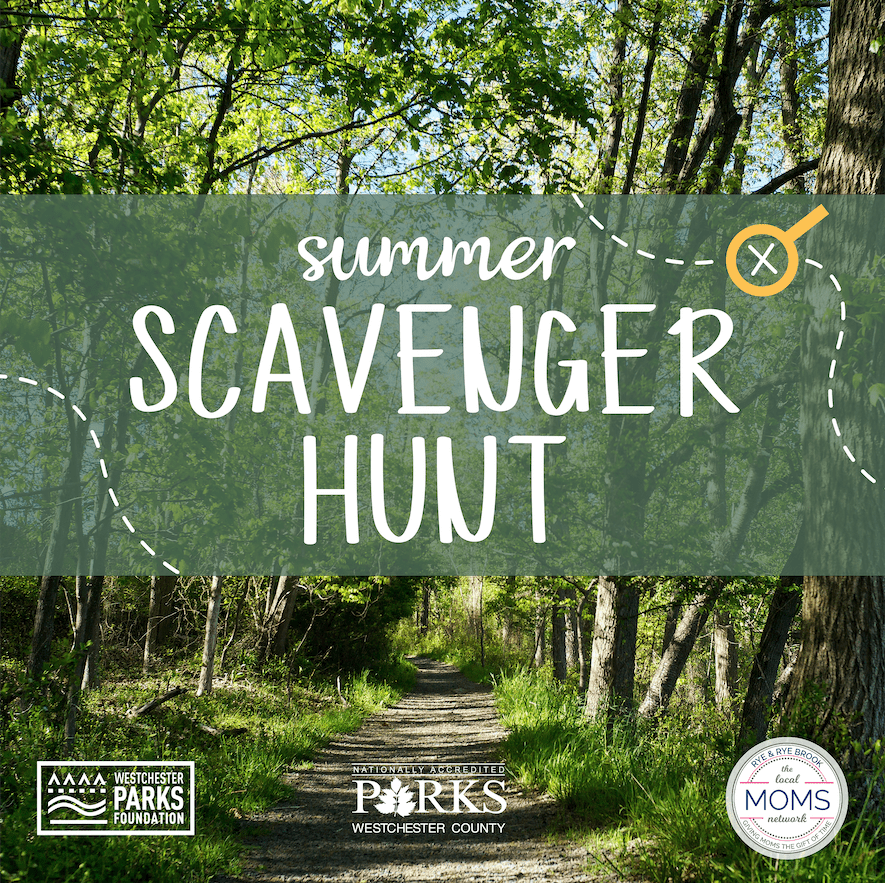 Summer Scavenger Hunt – Begins June 1st!