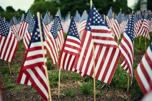 Happy Memorial Day!