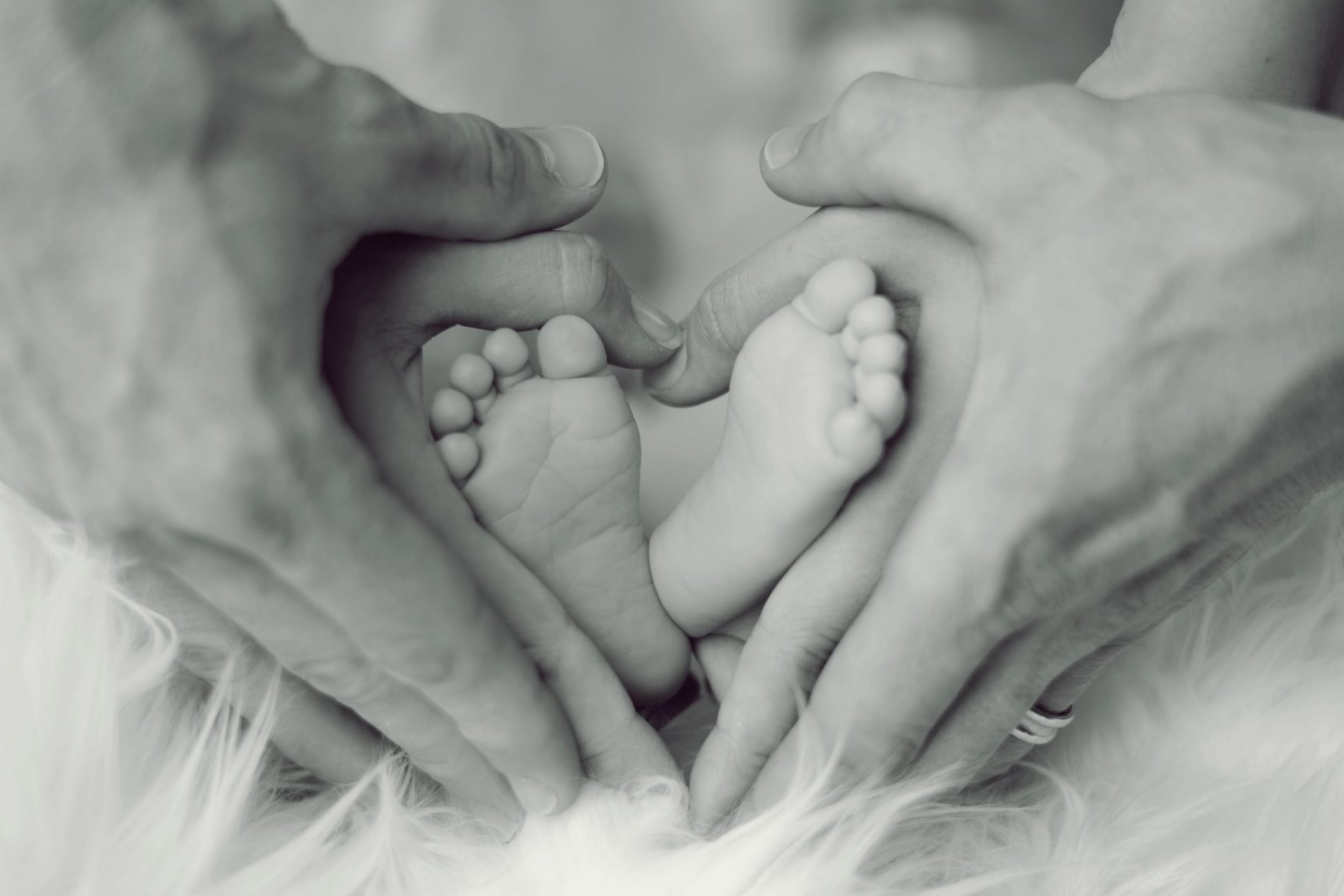 Charities That Help Families: Giving Back This Holiday Season