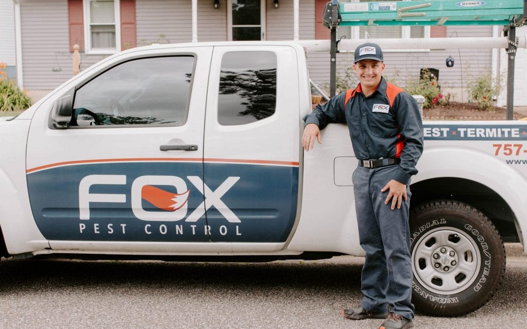 Fall Pests: 5 To Watch Out For!