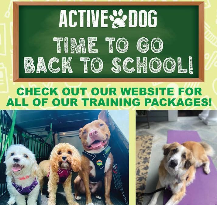 Our Pups deserve some Back to School Training too!
