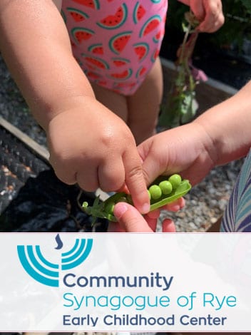 2022 Preschool Guide Rye Rye Brook Moms