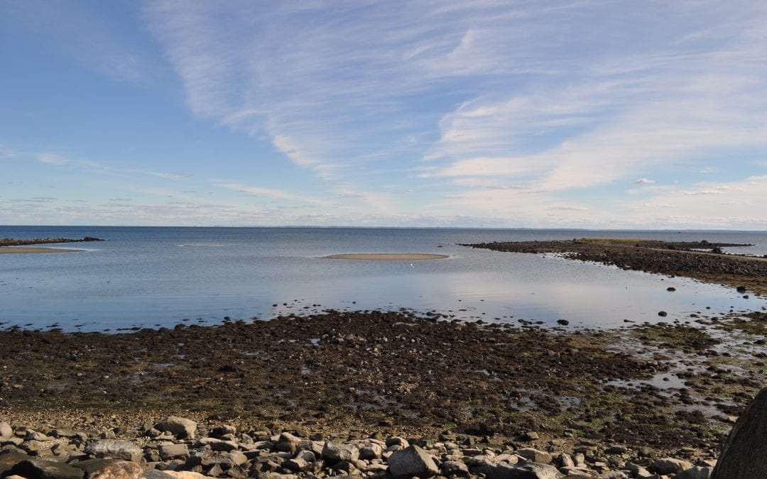 6 Reasons to call Westport your home!