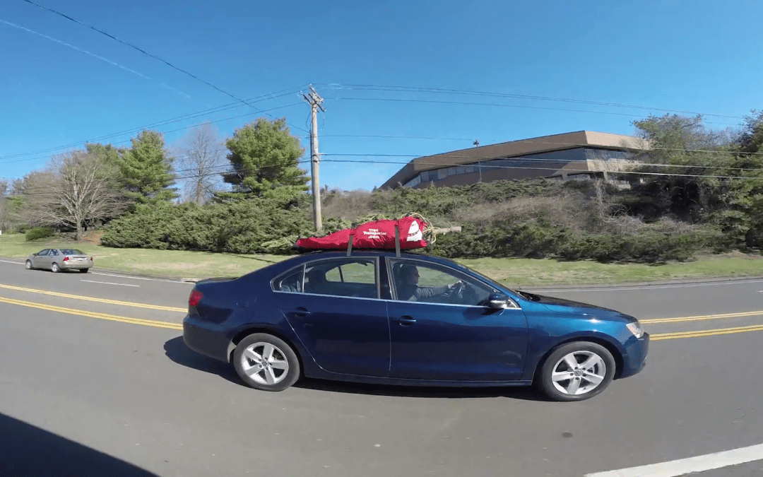 Meet Tree Transporter – the new EASY way to get your Christmas Trees home!