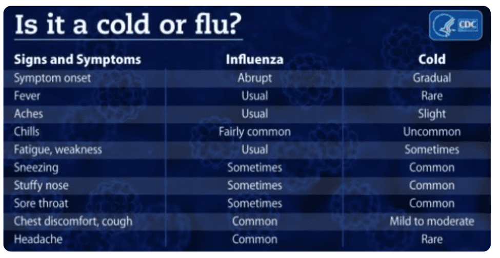 Some Facts about the Flu from Dr. Audrey Paul (trust us – this is more reliable than your Google search!)