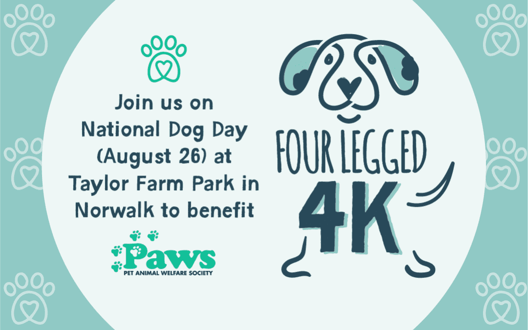 Four Legged 4K to Benefit PAWS on August 26th!