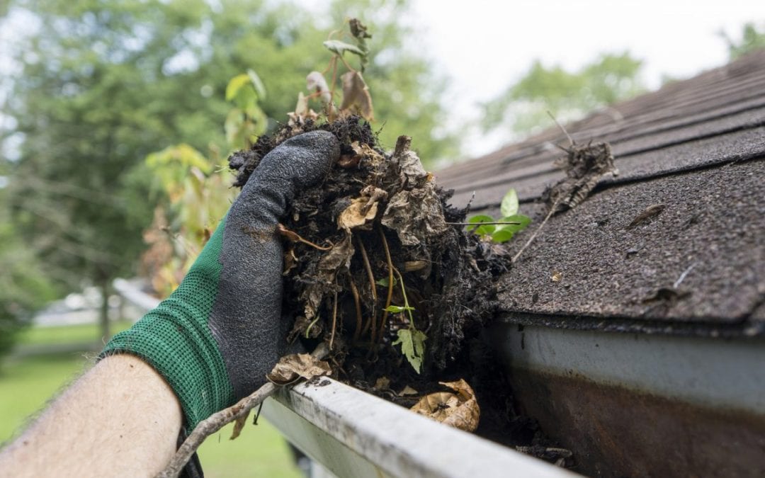 With fall around the corner, don't forget your gutters!