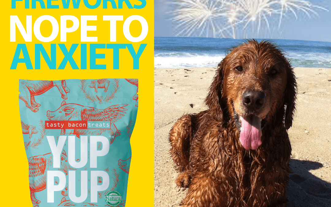 Make 4th of July FUN for your PUP with YUPPUP!