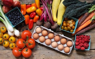 Why Eat Organic and Local? Ask the Expert.