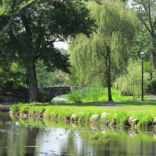 Wednesday Night Concert Series at Binney Park