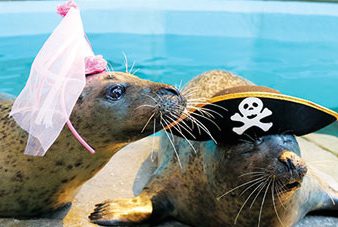 Pirates & Princesses Weekend