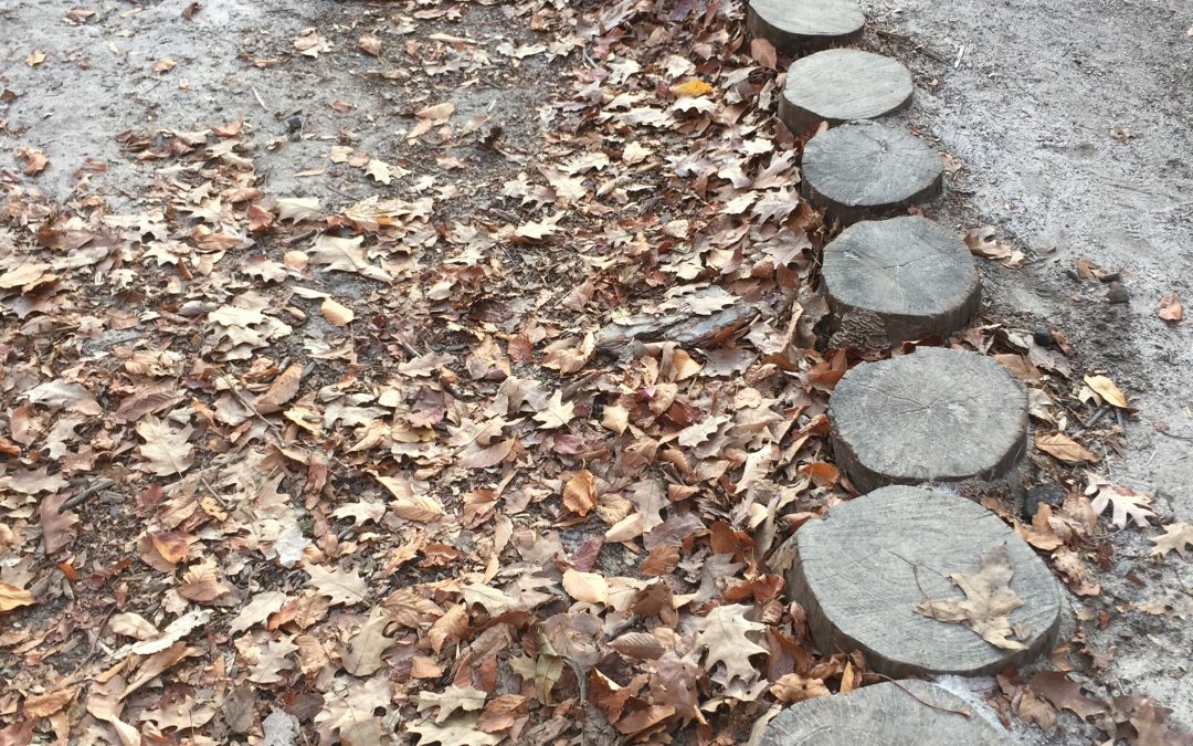 Maple Tapping and Winter Walk