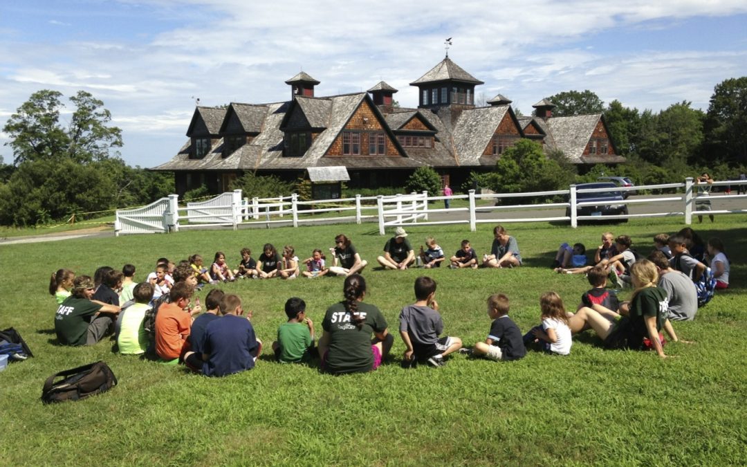 Summer Nature Day Camps at Audubon Greenwich