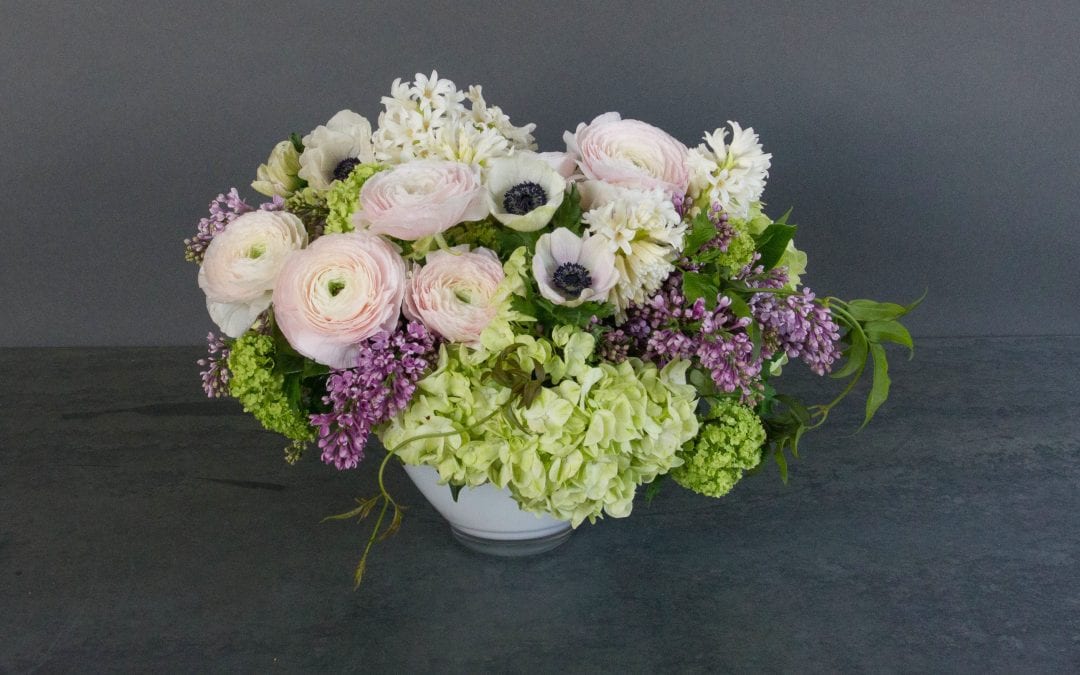 Think Spring!