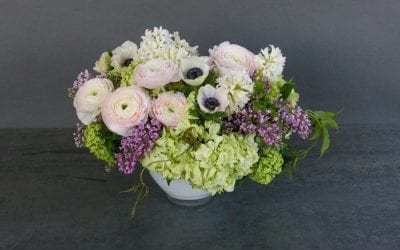 Think Spring!