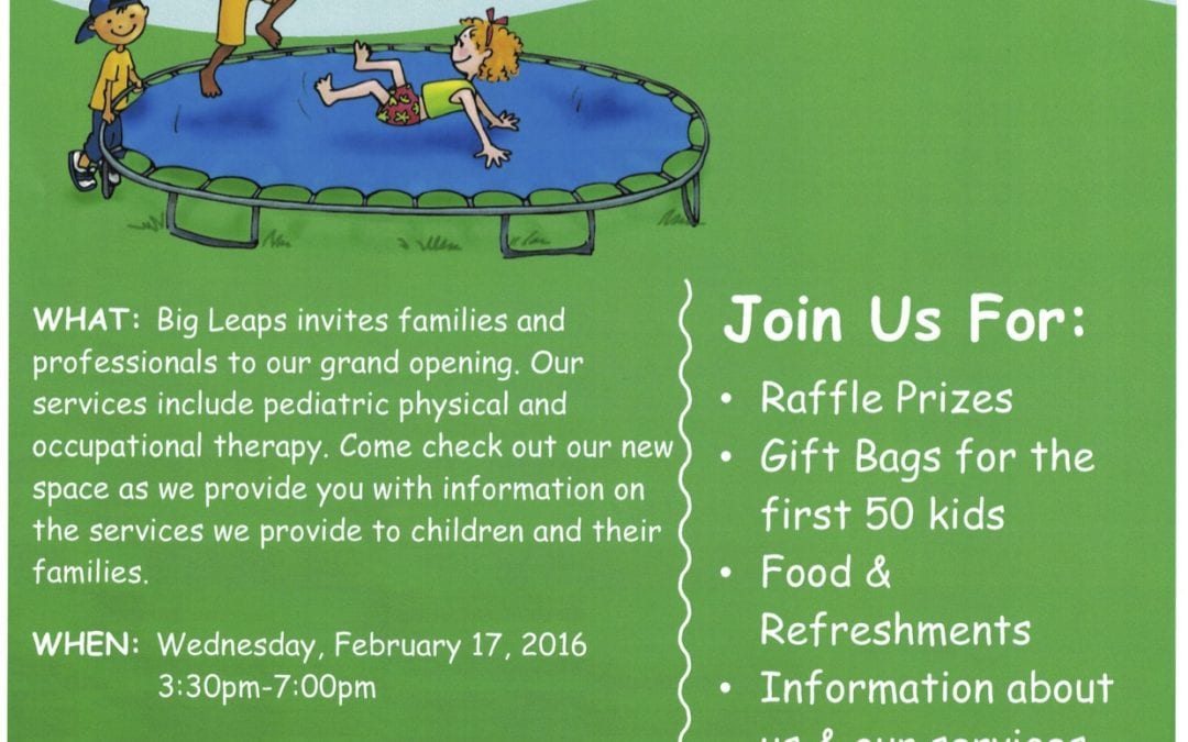 Save the Date: Big Leaps Grand Opening!
