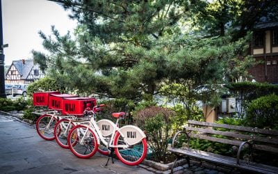 Farm to Wok Chinese Food Debuts in Greenwich!