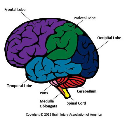 JLG Presents "Concussions"- What You Need to Know