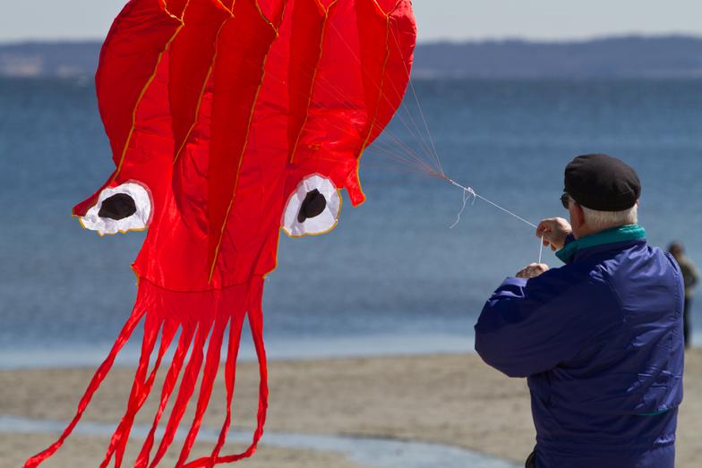 Kite Festival 2016