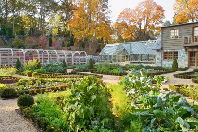 Tips for a Vegetable Garden