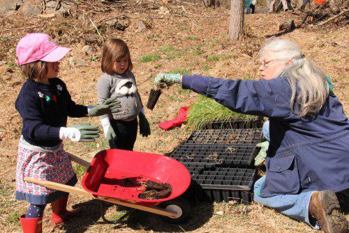 Earth Day Beautification Project