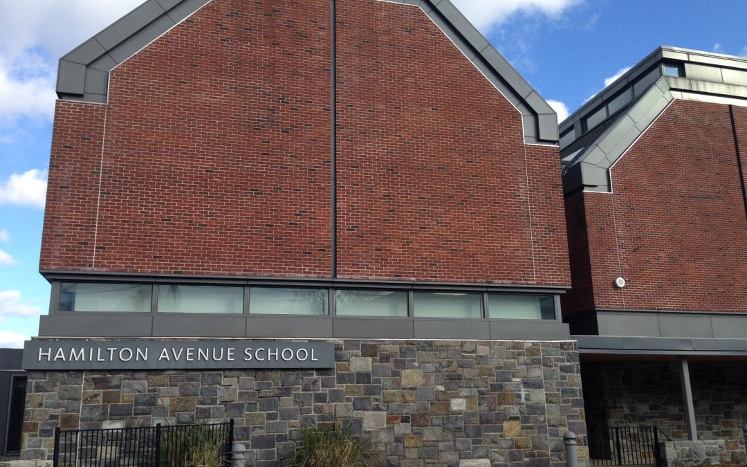 Hamilton Ave School Spring-a-Palooza Fair