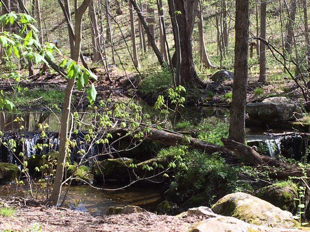 Trails Day Hike