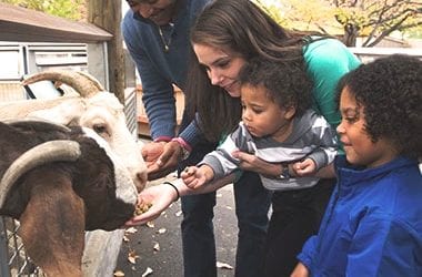 Plan a Trip to the Bronx Zoo!