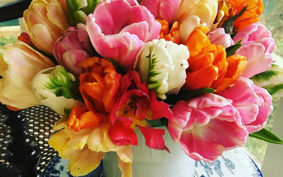 Just for Kids! Planting Mother's Day Baskets
