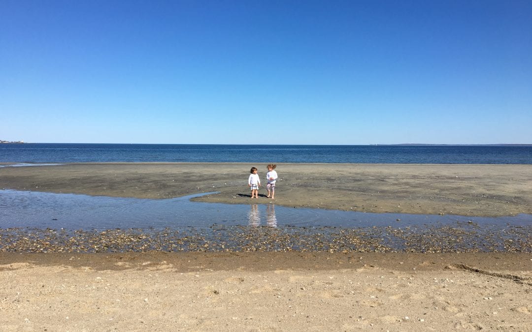 Bruce Museum Seaside Center Grand Opening and Experience the Sound Celebration