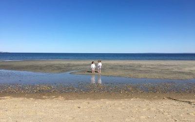 Bruce Museum Seaside Center Grand Opening and Experience the Sound Celebration