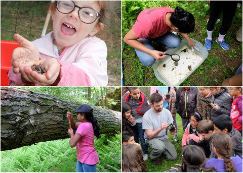 Pollinator Party at GLT's Mueller Preserve