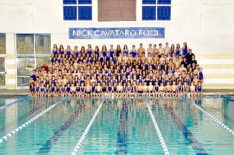 YWCA Greenwich Dolphin Team Tryouts