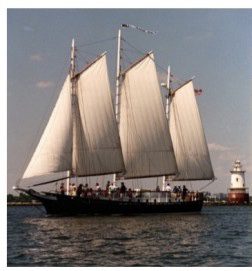 Stamford Afternoon Sails
