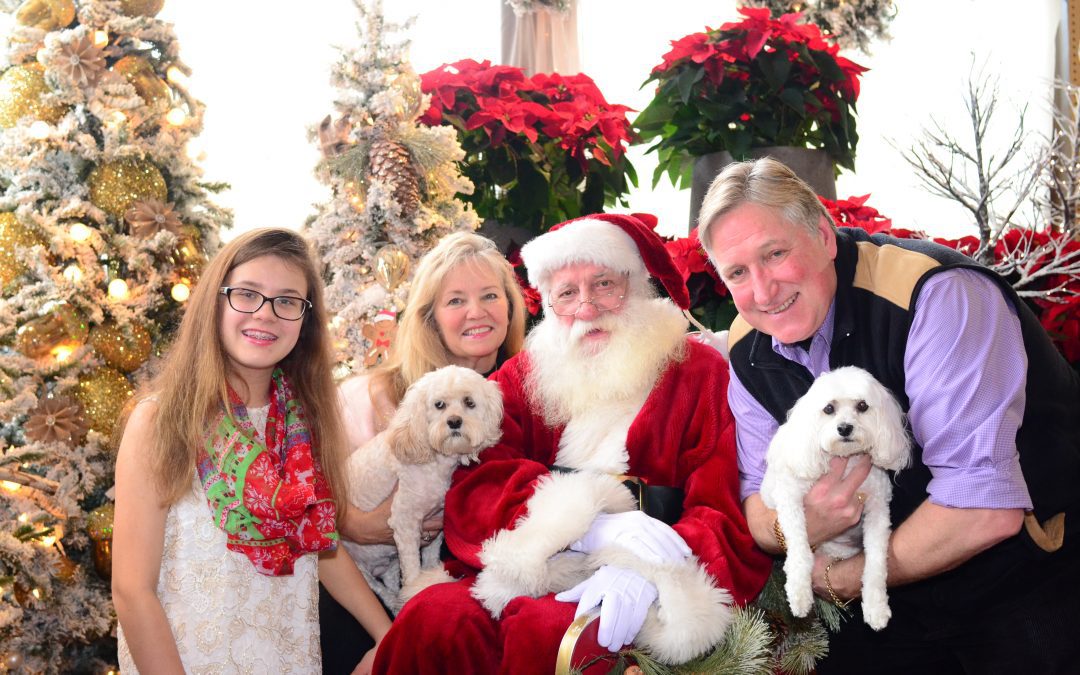 8th Annual Greenwich Reindeer Festival & Santa’s Village at Sam Bridge