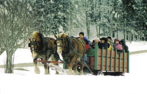 Horse Drawn Carriage Rides in Mill River Park