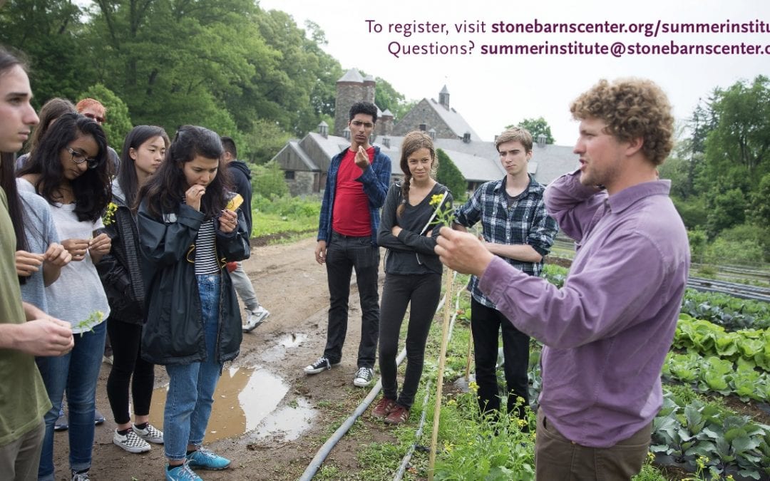 Stone Barns Center Announces New Summer Program for High School Students
