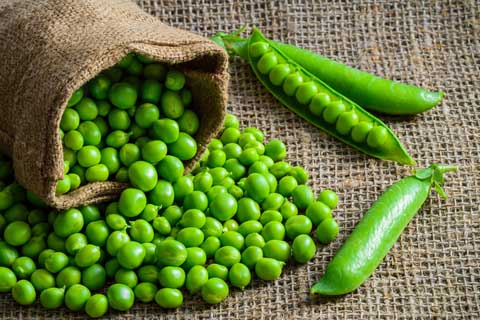 Enjoy a Little Luck of the Irish at the Farm!