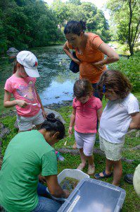 Symphony in the Swamp at Greenwich Land Trust