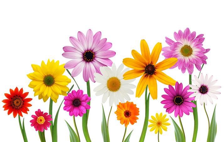 12 Days of Mother's Day Sweepstakes!