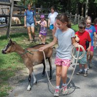 Summer Drop-In Programs and National Hot Dog Day at Stamford Nature Center
