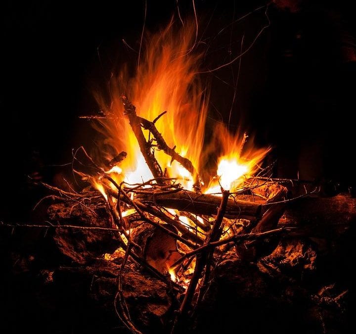 Family Fire & Bushcraft Fun