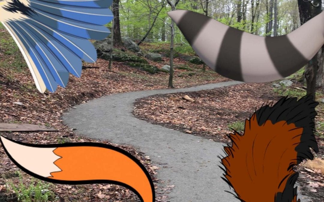 Animal Tale on a Trail: An Outdoor Storytelling Adventure