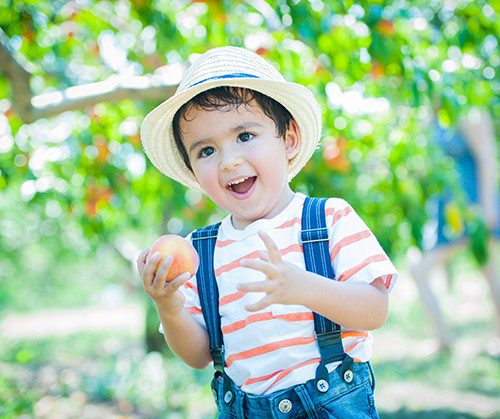 Peach Fest at Lyman Orchards
