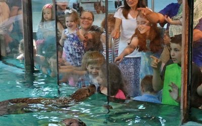 August 2017 offerings at The Maritime Aquarium