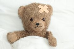 Greenwich Hospital’s Annual Teddy Bear Clinic to Welcome Hundreds of Kids and Families