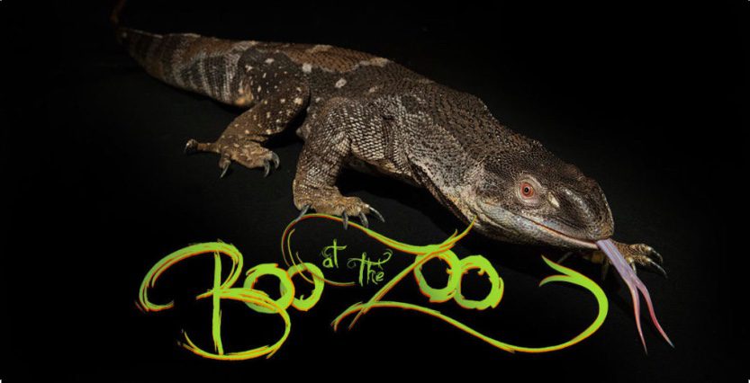 Boo at the Zoo! Weekends in October @ The Bronx Zoo