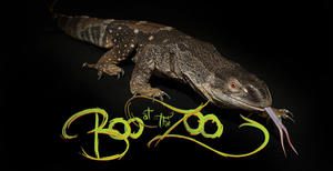 Say BOO at The Bronx Zoo weekends through Sunday, October 29
